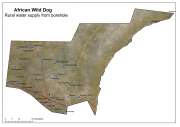 African Wild Dog rural water supply